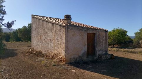 Finca en venta en la población de Xerta de 20.986 m2 de terreno en plena producción plantados de olivos y algarrobos,  tiene una c