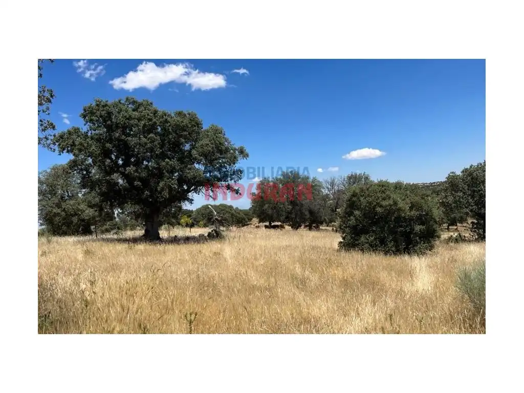 Finca rústica en venda en Alía