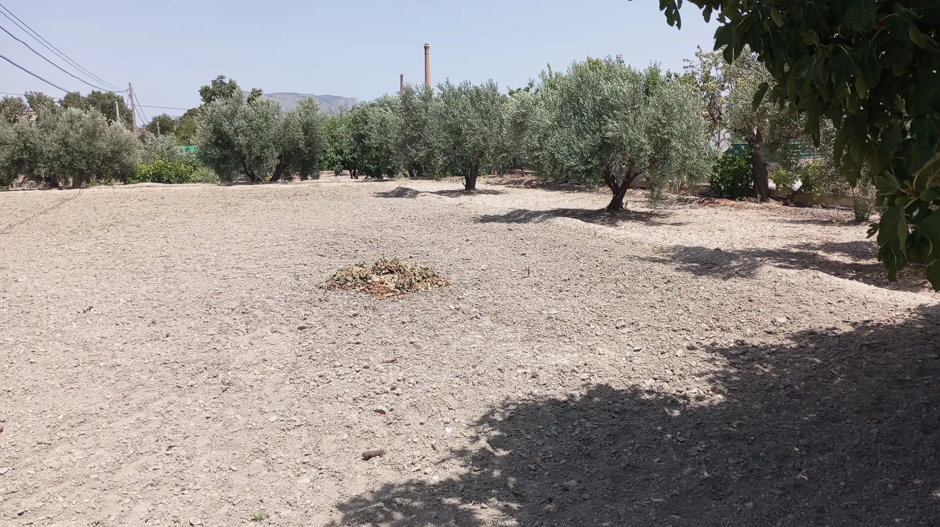 Casa o xalet en venda en Baza amb Moblat
