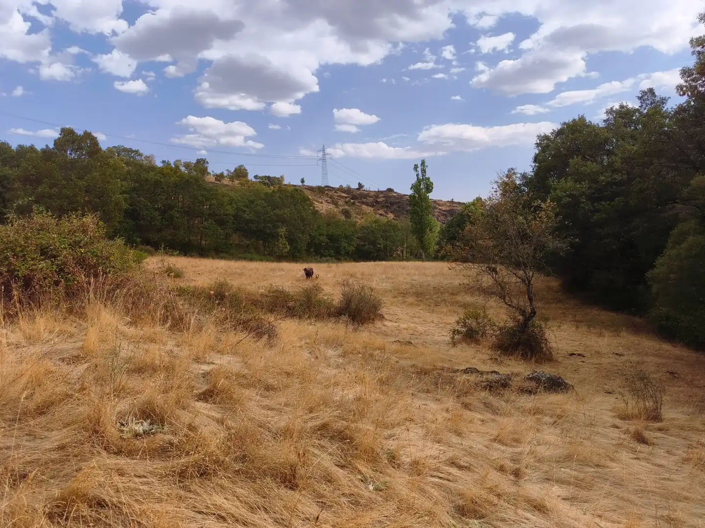 Terreno en venta en Piñuécar-Gandullas