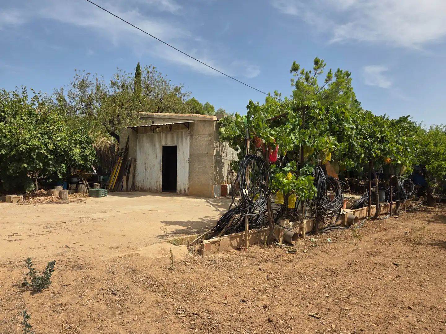 Vista exterior de Finca rústica en venta en Bullas