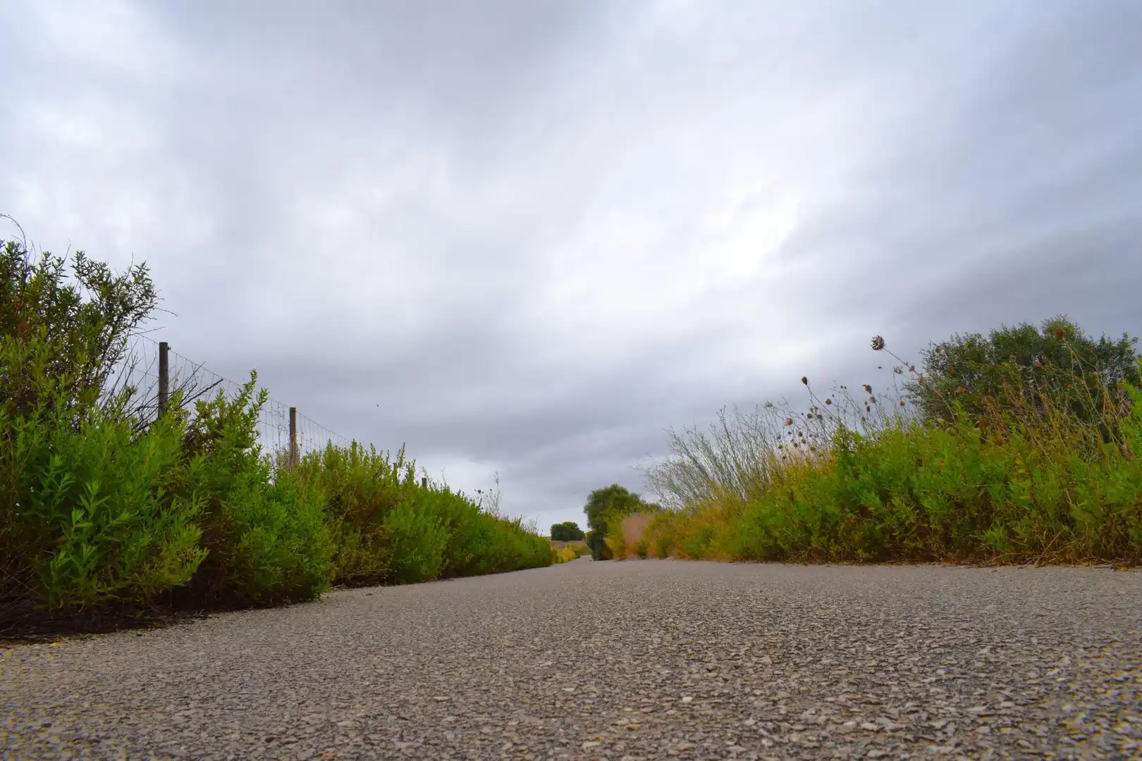 Residential land for sale in Santa Margalida Poble, imagen 28