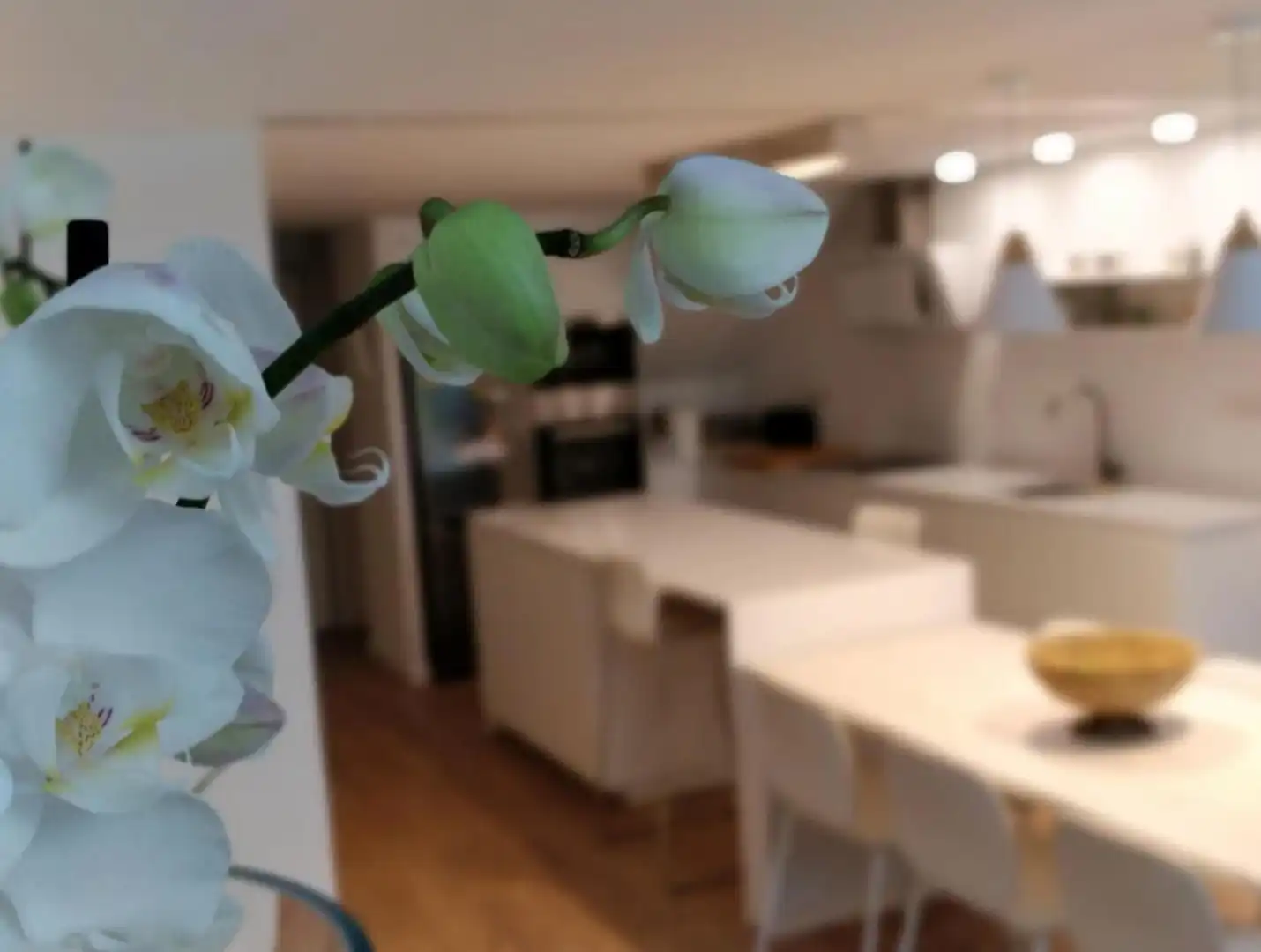 Loft amb terrassa en venda a Calle Creu Roja 1, imagen 11