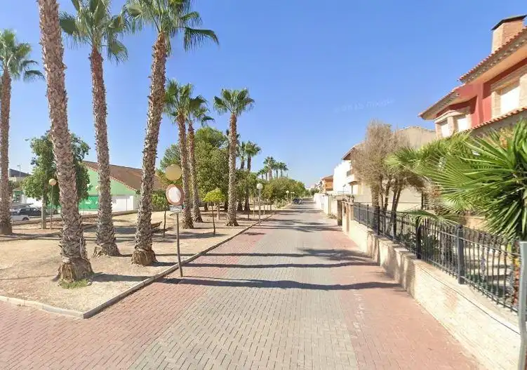 Exterior view of Houses for sale in Molina de Segura