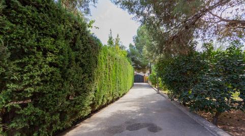 Photo 4 of House or chalet for sale in  Nacimiento (mel), El Valle, Granada