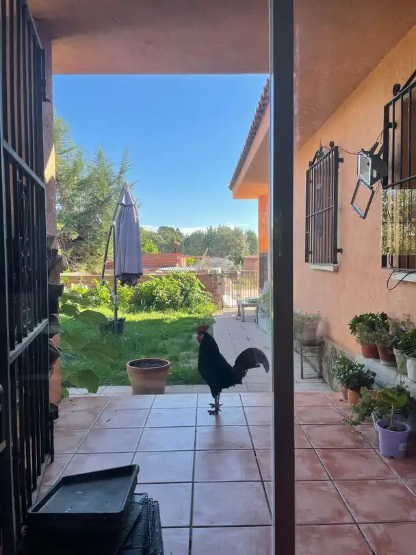 Jardín de Casa o chalet en venta en San Román de los Montes con Aire acondicionado y Calefacción