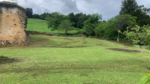 Photo 5 of Land for sale in Lugar Murias, 42, Candamo, Asturias