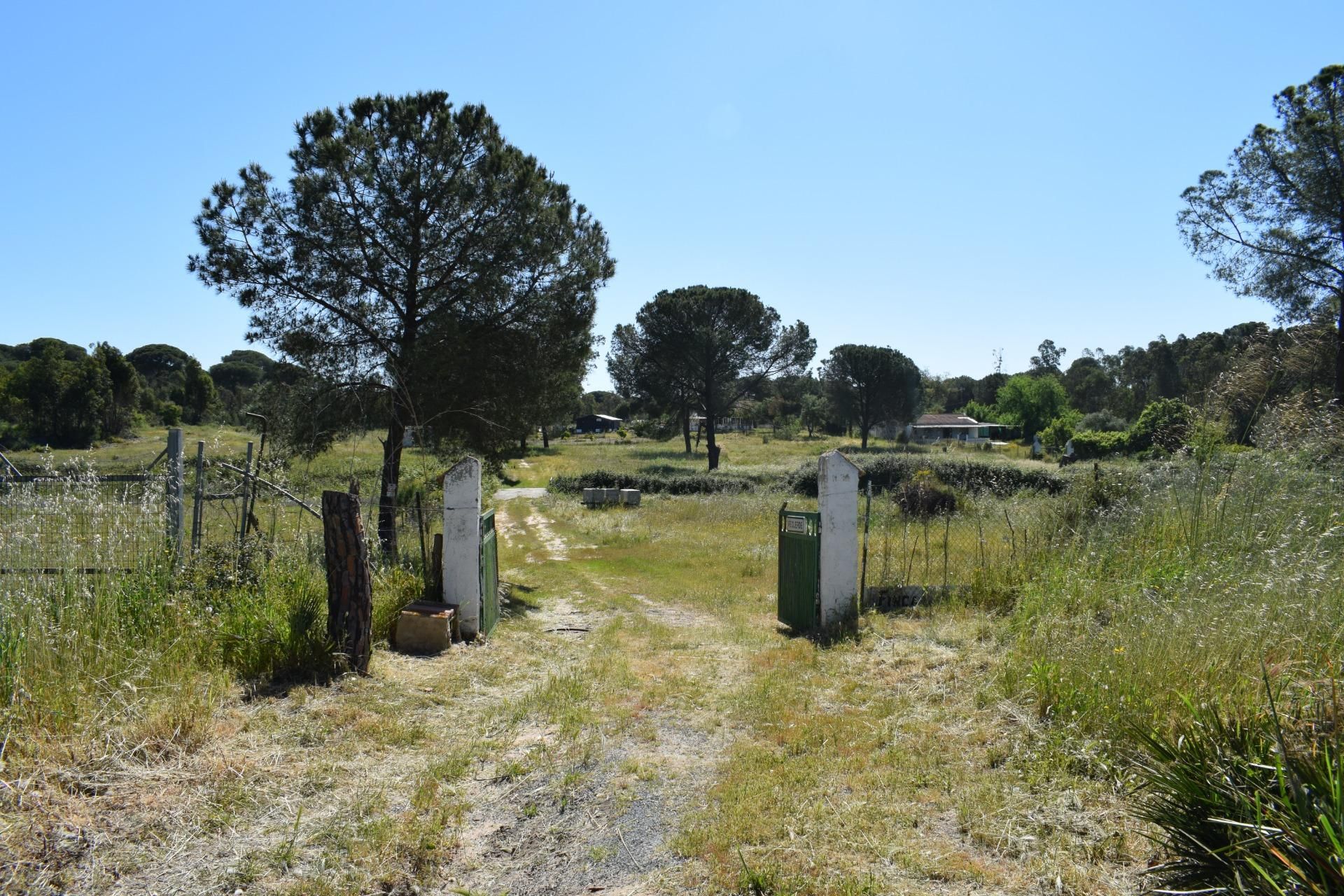 Finca rústica en venda en Lucena del Puerto amb Aire condicionat, Calefacció i Jardí privat