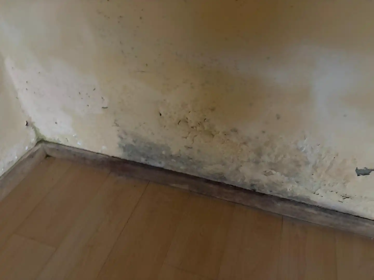 Casa o xalet en venda en Cabana de Bergantiños amb Balcó