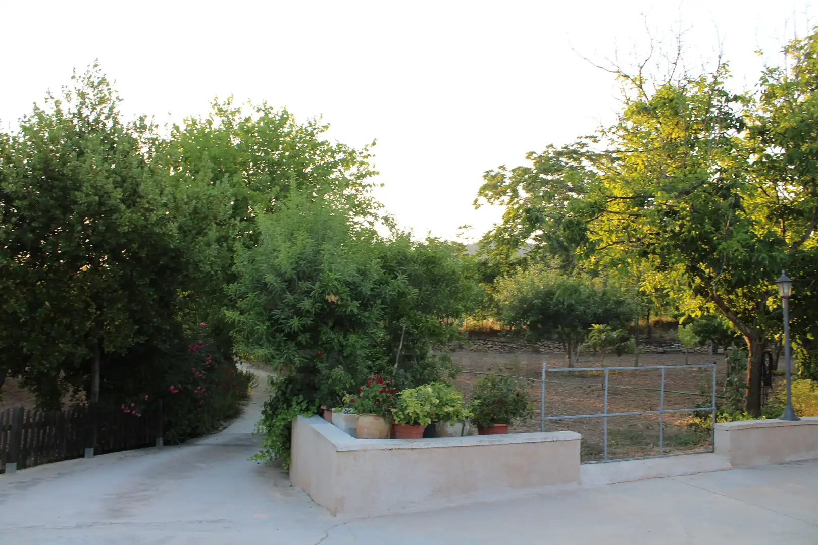 Maison à vendre à Onil, imagen 5
