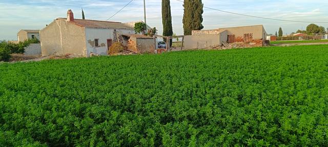 Finca rústica en Venta en Camino del Almajal en Callosa de Segura