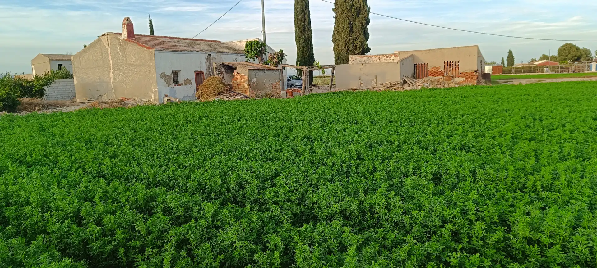 Finca rústica en venda en Callosa de Segura amb Jardí privat