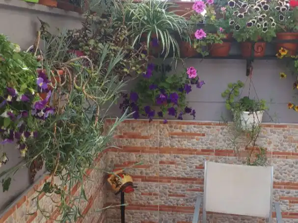 Balcony of Flat for sale in Pedro Abad, Córdoba