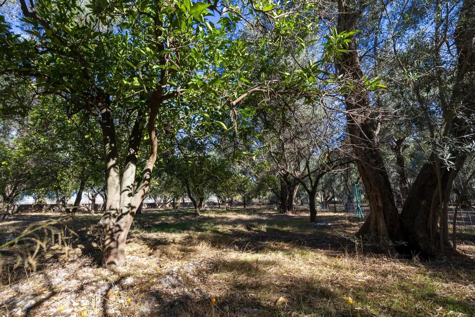 Land for sale in Lecrín