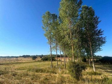 Terreno rustico in vendita a Almanza