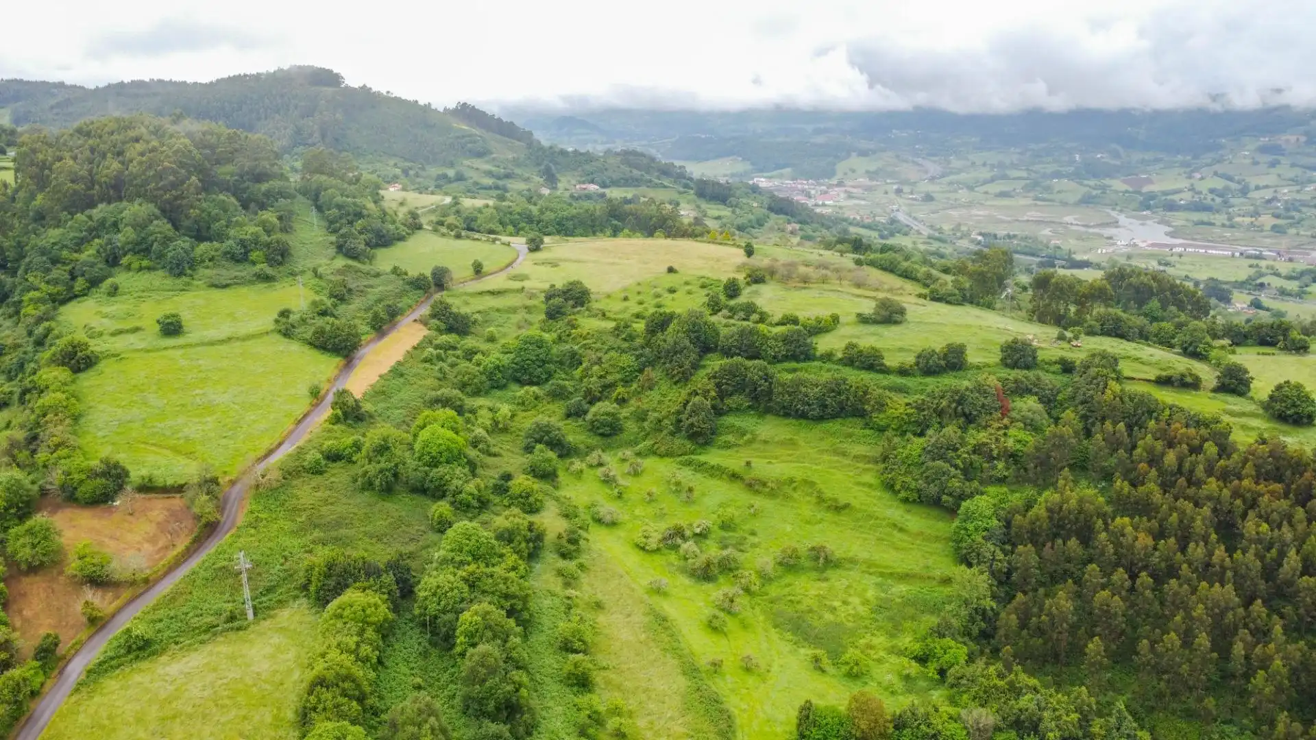Houses for sale in Villaviciosa