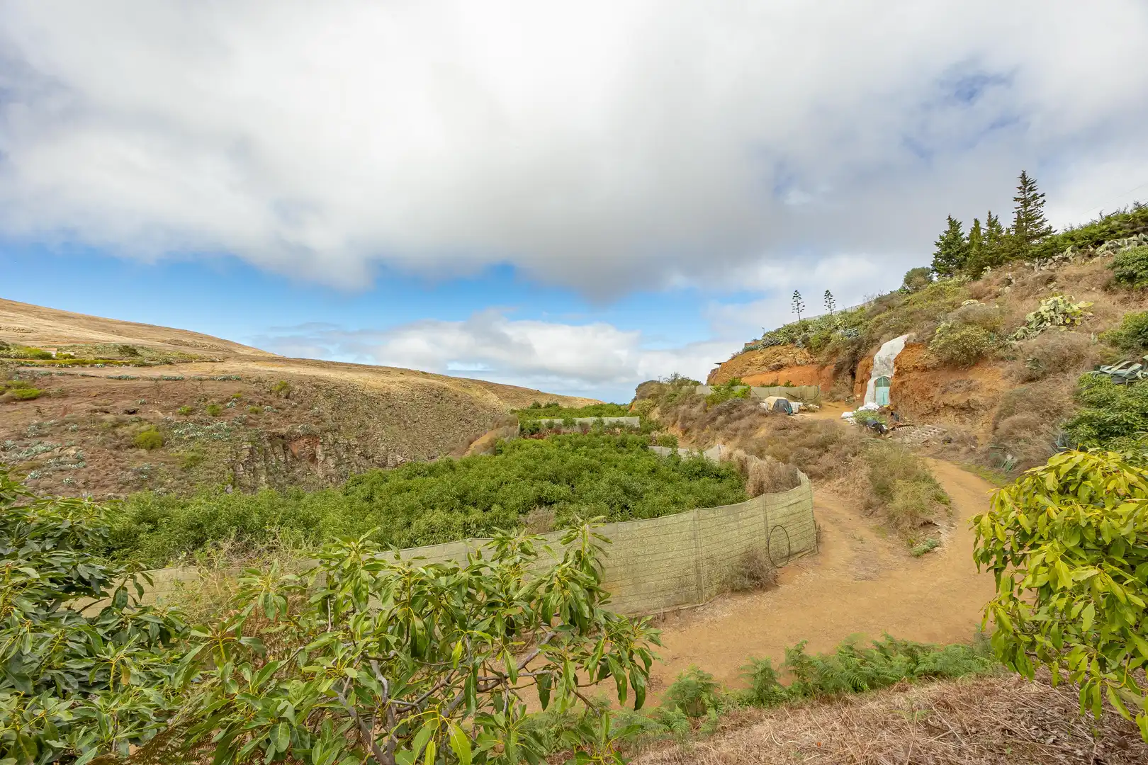 Residencial en venta en Lugar Lomo del Poleo, Saucillo - Fagajesto - Juncalillo