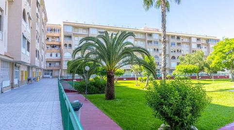 Photo 3 of Attic to rent in Parque de las Naciones, Alicante