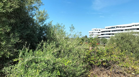 Foto 4 de Residencial en venda a Sitio del Valle, Ciudad Expo, Sevilla