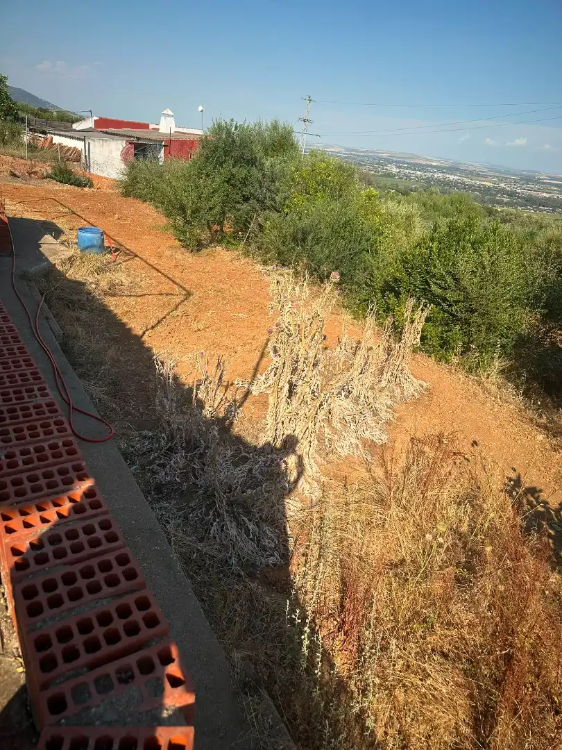 Chalet con piscina en venta en Almodóvar del Río, imagen 8