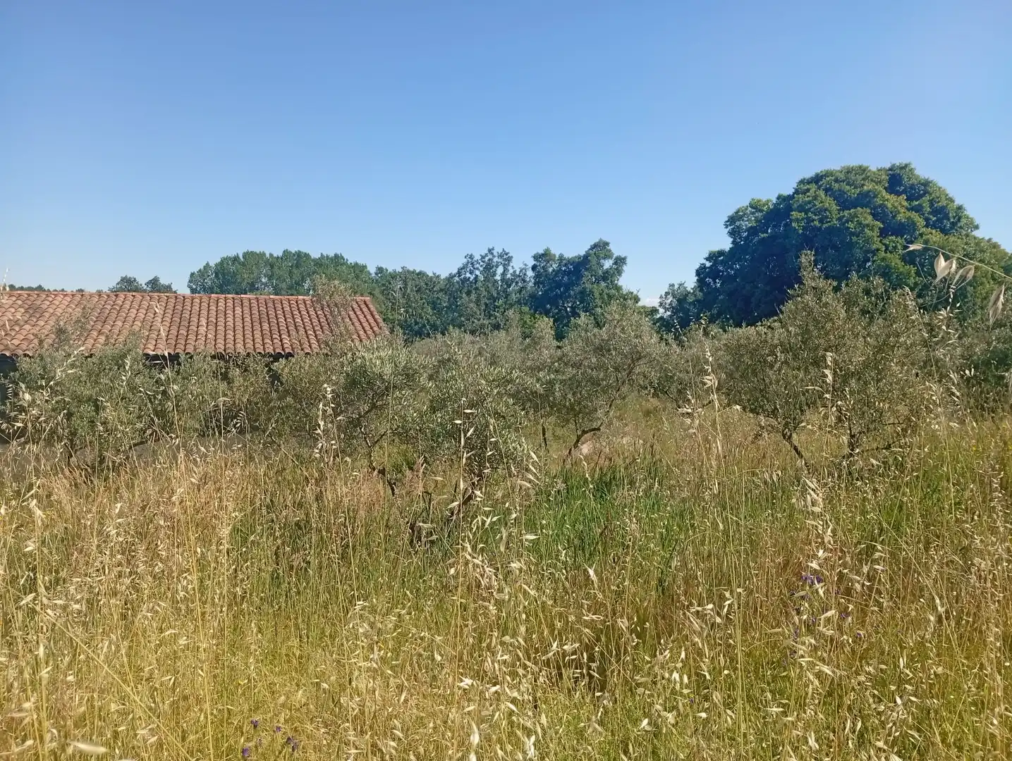 Maison à vendre à Villanueva de la Vera, imagen 79