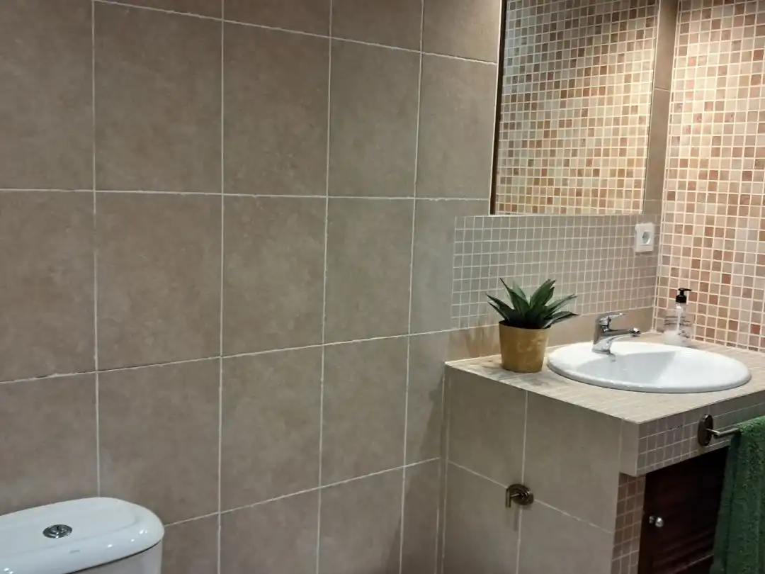 Detached house with garden for sale in carrer L'escua 28, imagen 21