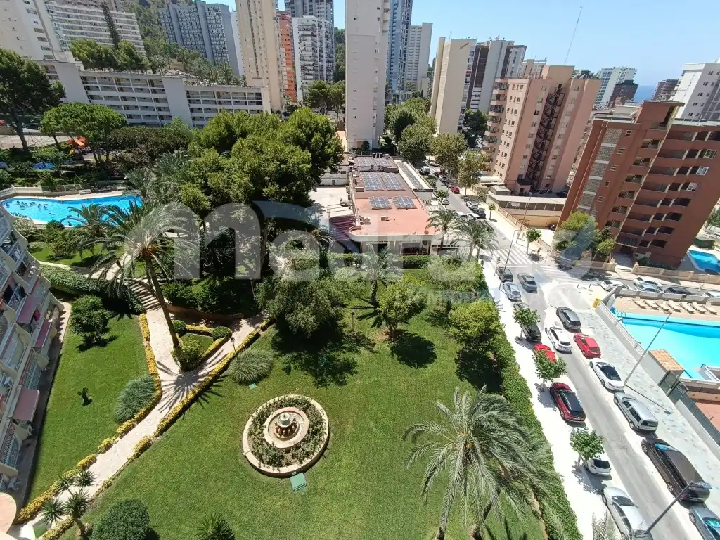 Exterior view of Study for sale in Benidorm  with Private garden, Terrace and Swimming Pool