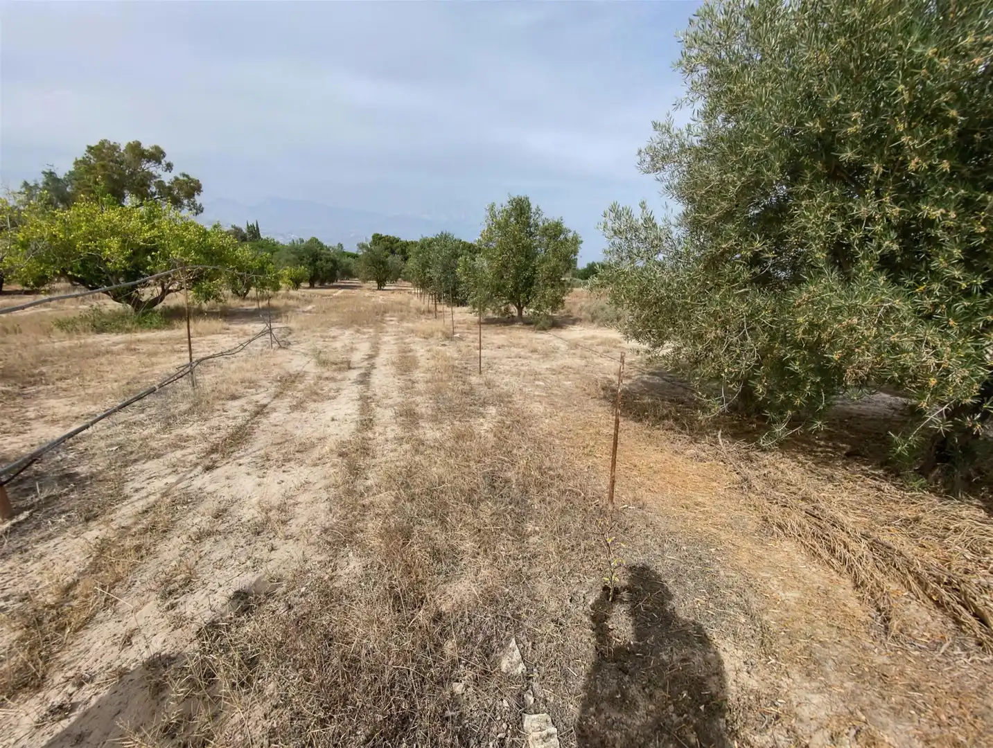 Villa à vendre à Partida Campet, imagen 27