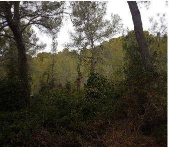 Terreno en Venta en Bítem