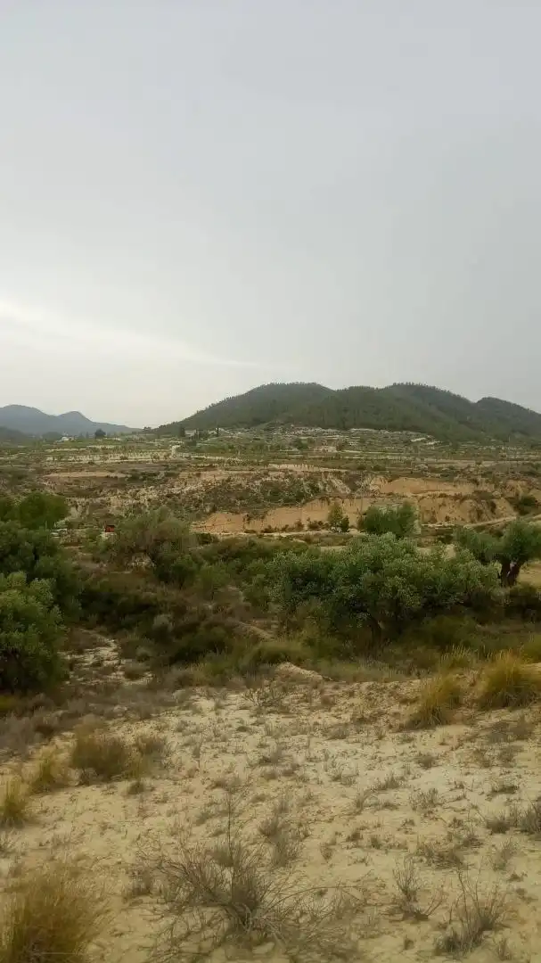 Finca rústica en venda en Ricote amb Moblat