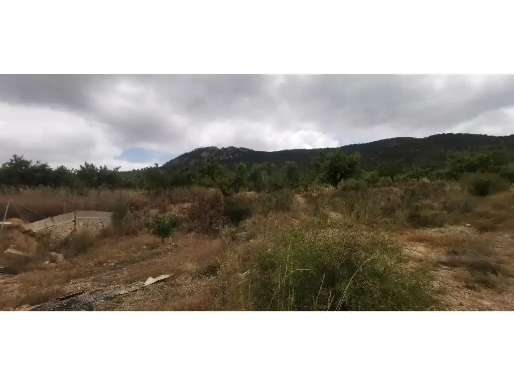 Terrain rustique à vendre à Poligono 7 Paraje 94 Umbria, imagen 7