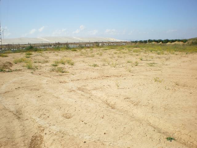 Terreno en Venta en Avenida de el Mirador, 54 en Santiago de la Ribera