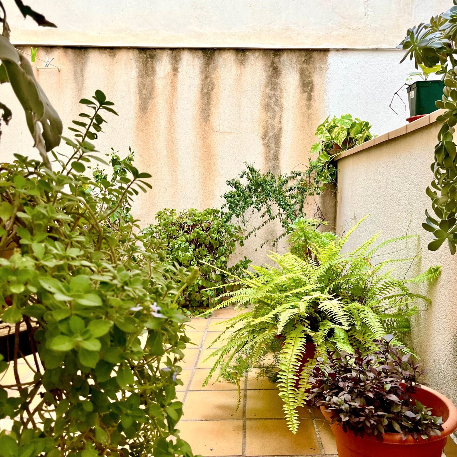 Jardí de Planta baixa en venda en Málaga Capital amb Aire condicionat