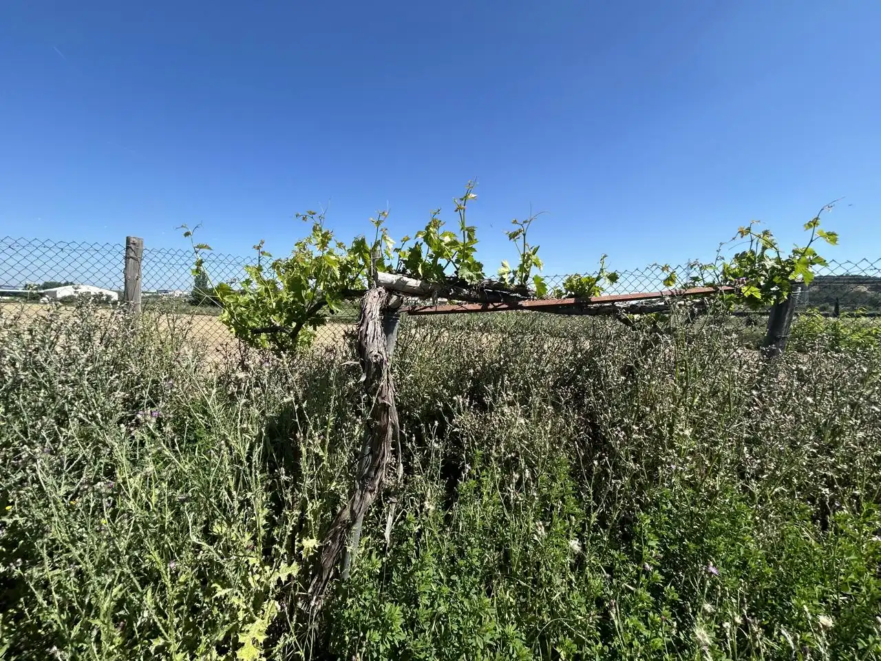 Finca rústica en venda en Tudela amb Piscina
