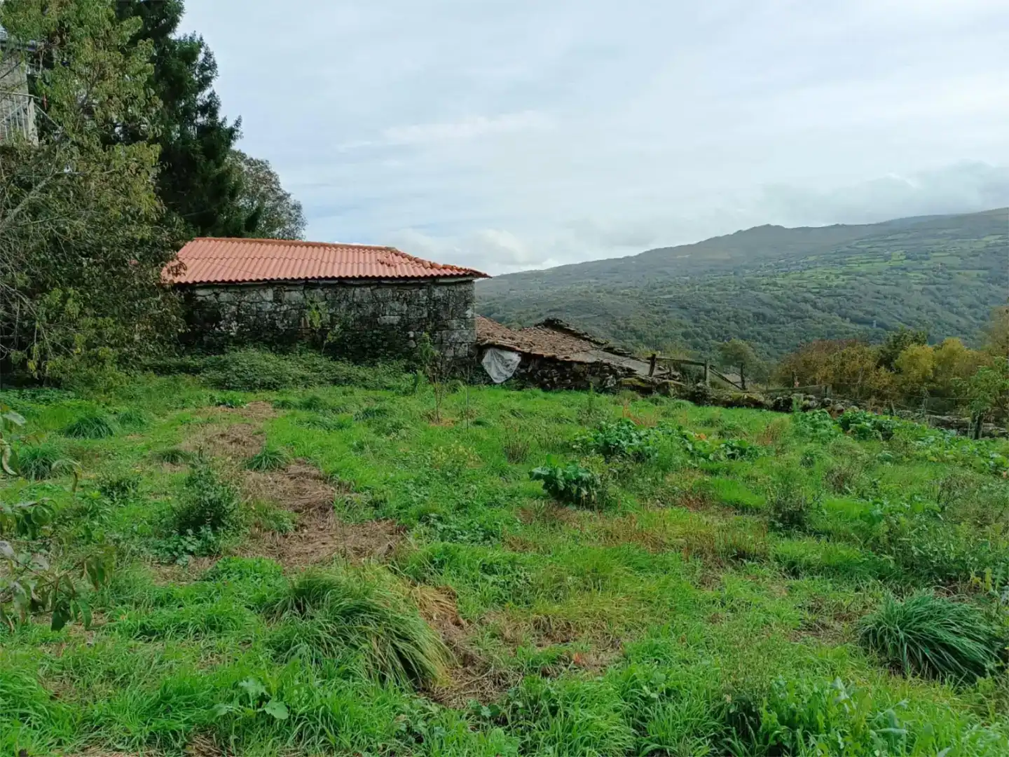 Finca rústica en venda en Chandrexa de Queixa