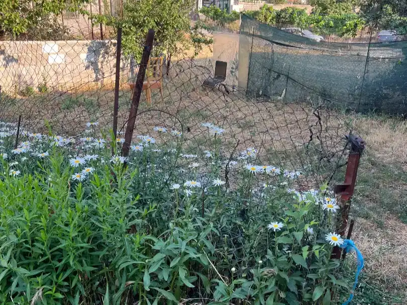 Pis en venda en Beas de Granada