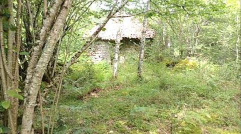Foto 4 de Casa o xalet en venda a Cosío - Praucos, Rionansa, Cantabria