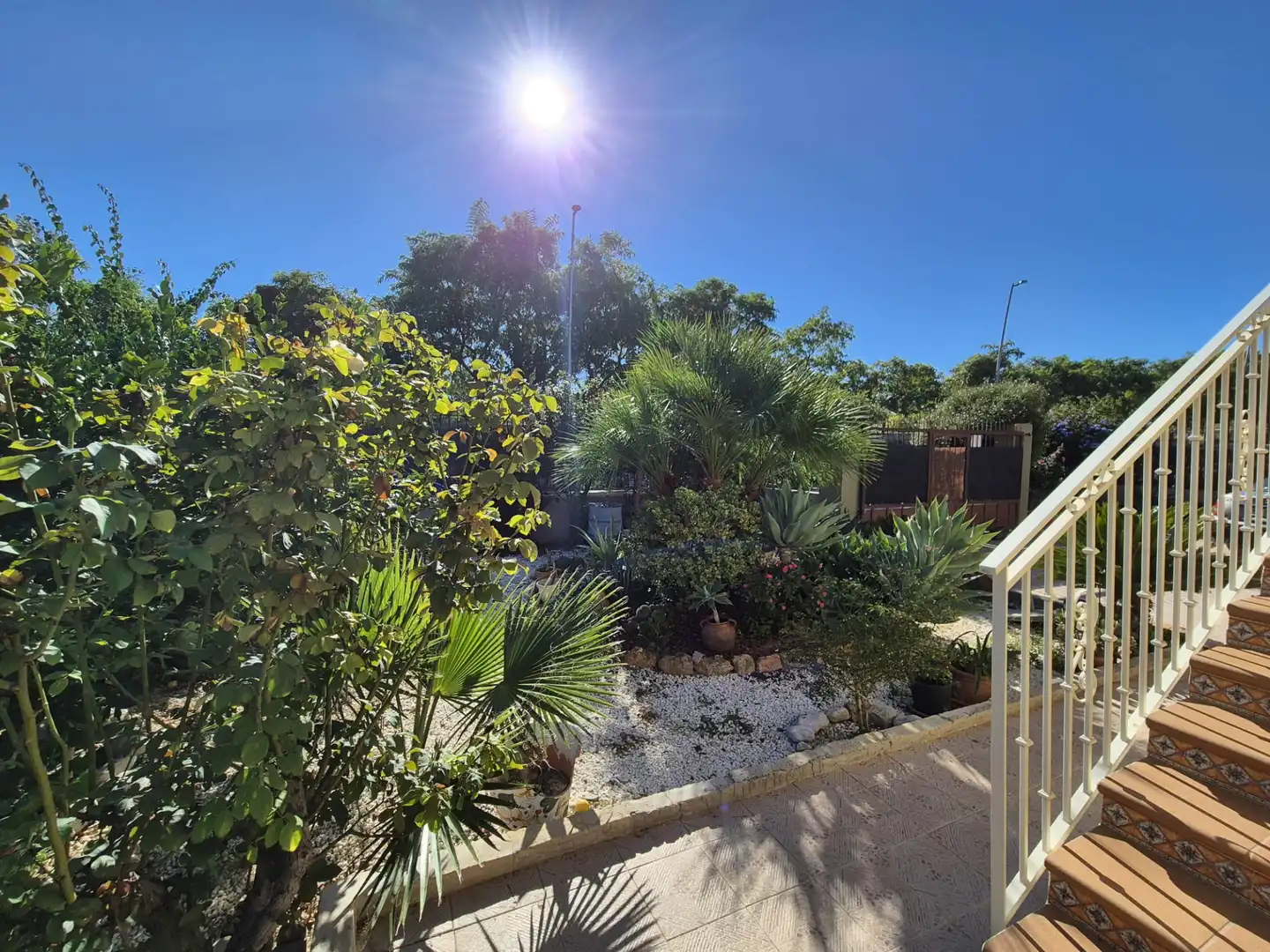 Jardí de Casa o xalet en venda en Albudeite amb Jardí privat, Terrassa i Moblat