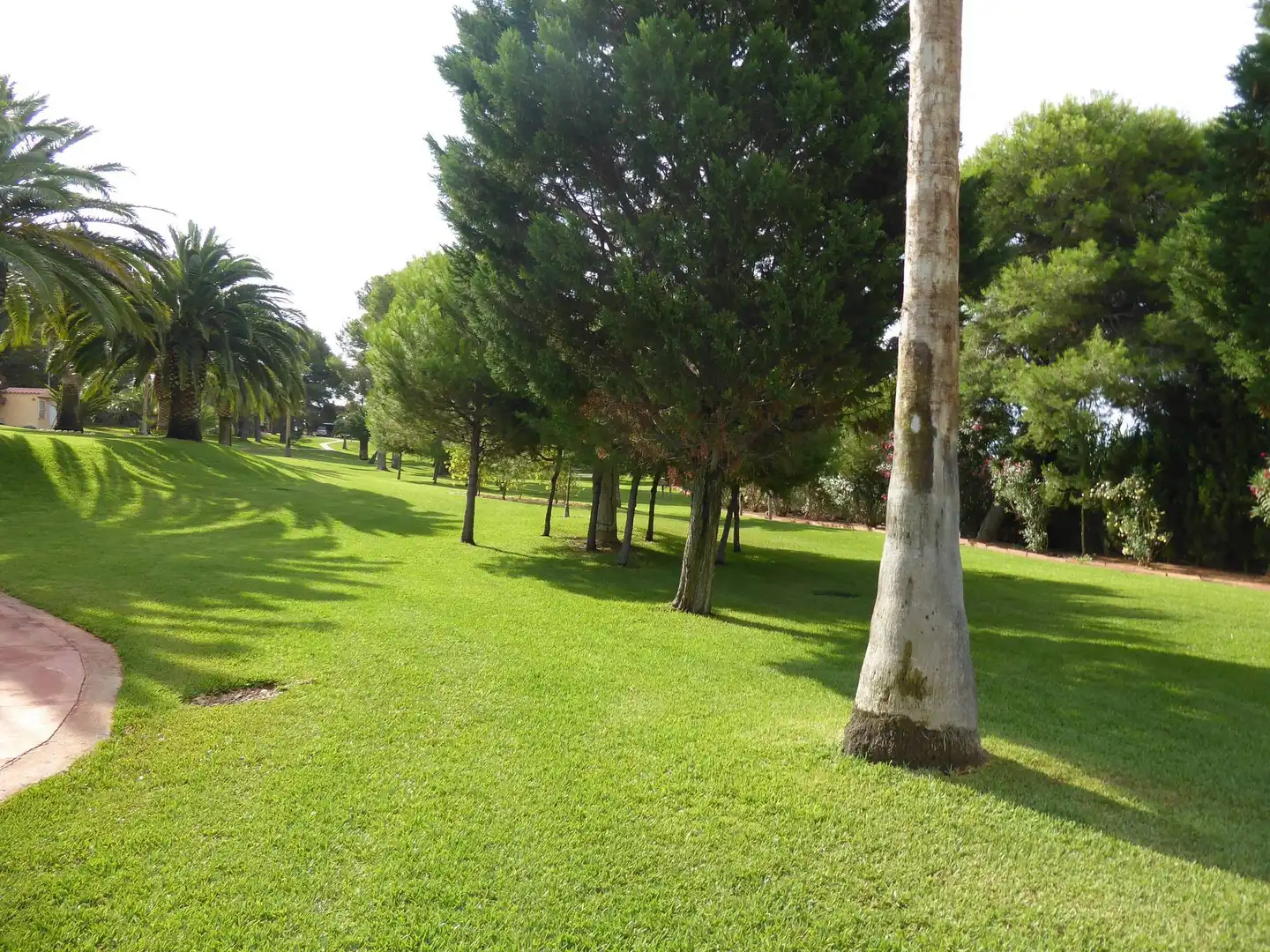 Jardí de Casa o xalet en venda en Alcalà de Xivert amb Calefacció, Jardí privat i Piscina