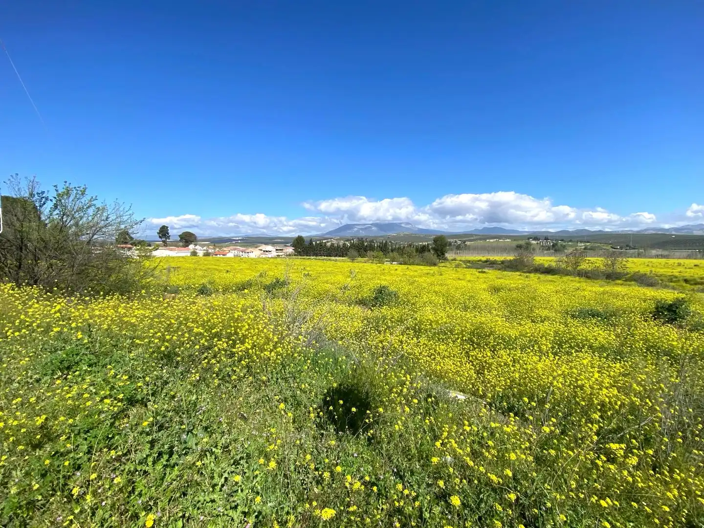 Rustikales Grundstück zum Verkauf in Pinos Puente, imagen 12