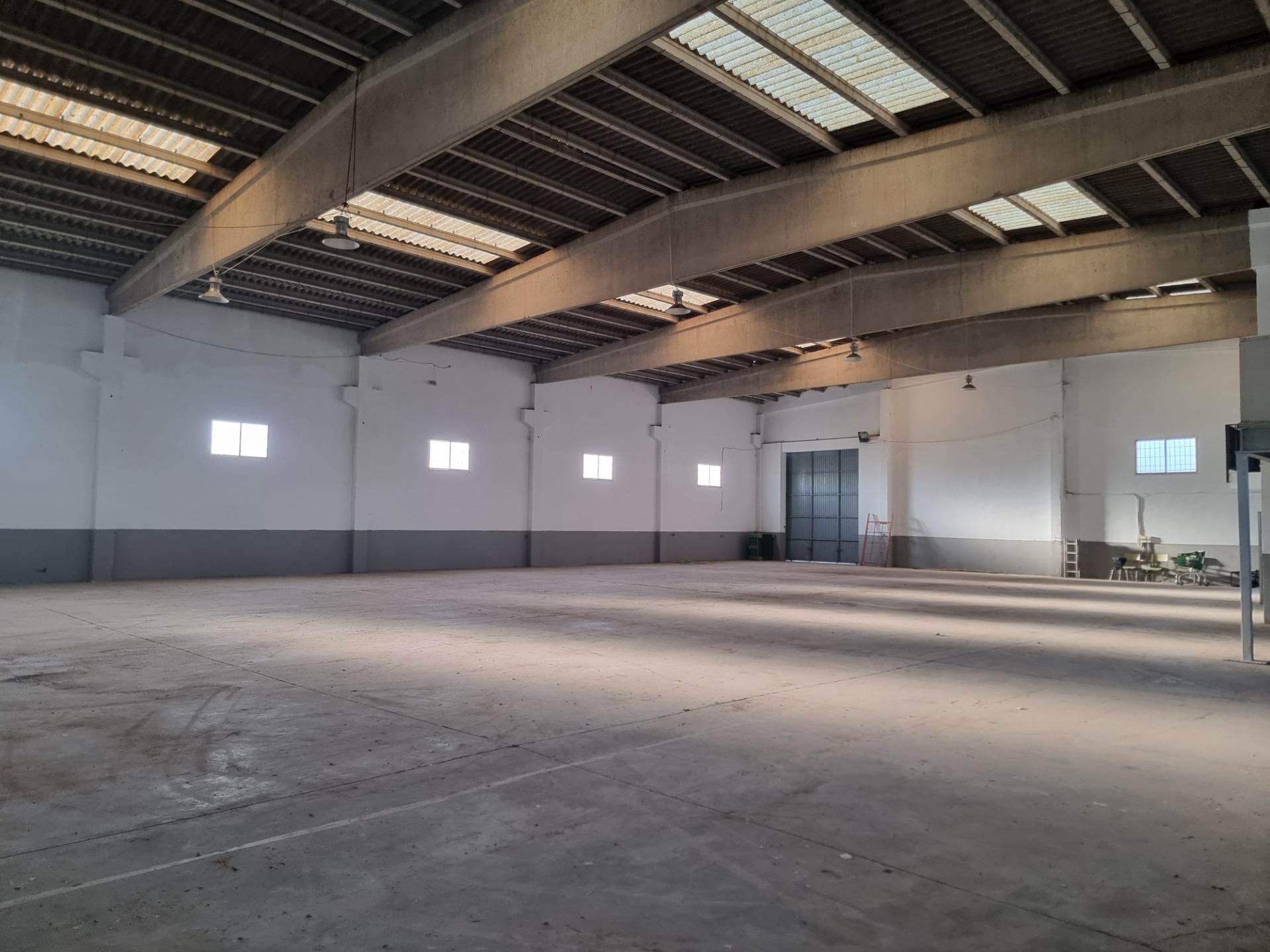 Nau industrial en venda en Loriguilla