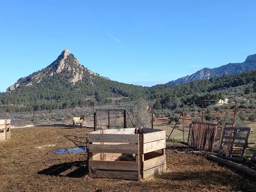 Rural land for sale in Carrer de Freginals 0, imagen 8