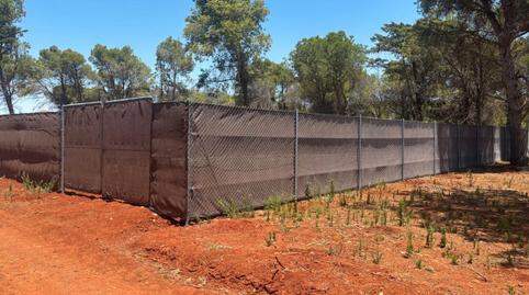 Photo 3 of Land for sale in Camino Colada de Fuente Amarga, Las Lagunas - Campano, Chiclana de la Frontera