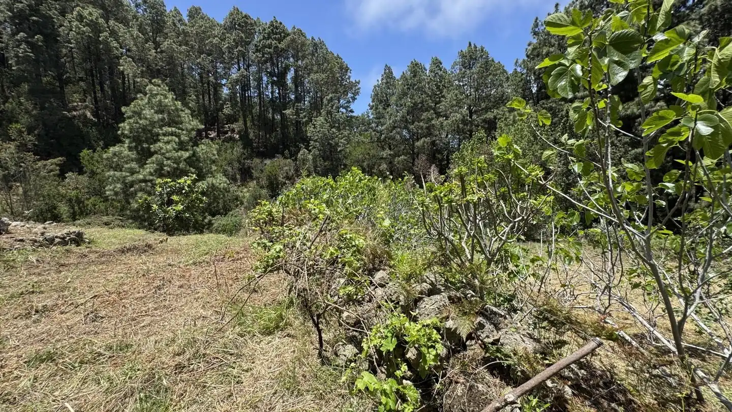 Lands and plots for sale in La Peña 1, imagen 22