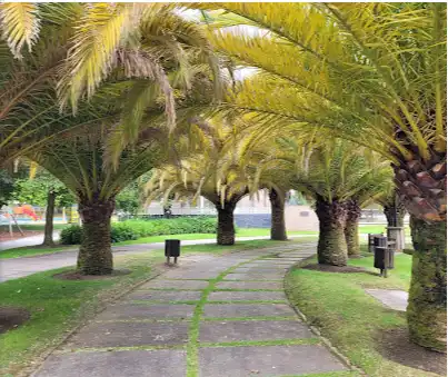 Flat for sale in Rúa Golpa, 5, Perillo