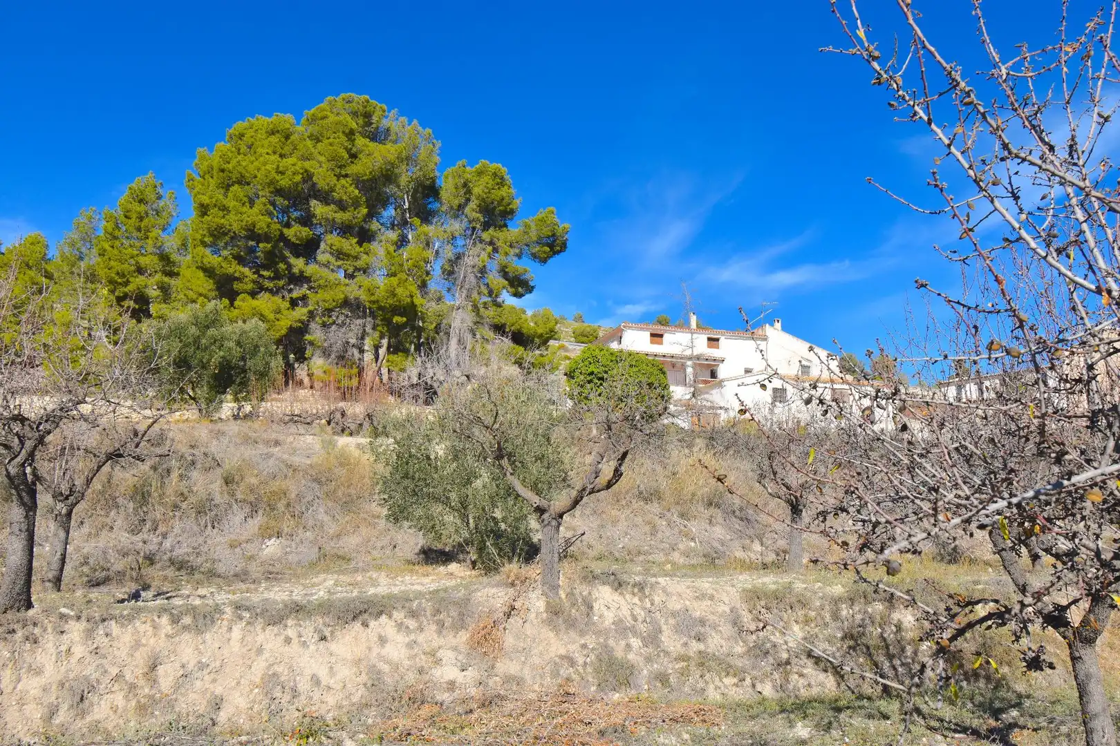 Houses for sale in Polígono 2 Parcela 26 EL SECANET. IBI (ALICANTE), 2, Ibi