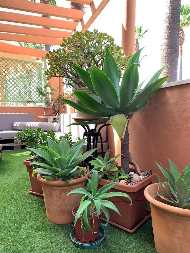 Jardín de Apartamento en venta en Sotogrande con Aire acondicionado, Calefacción y Jardín privado