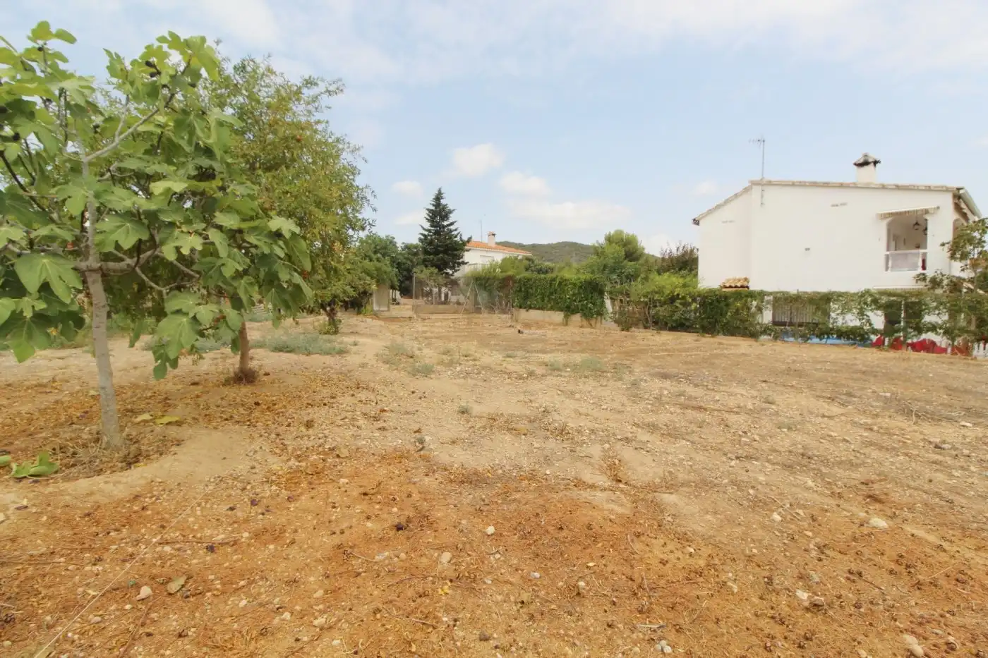 Terreny residencial en venda a Roda de Barà, imagen 2