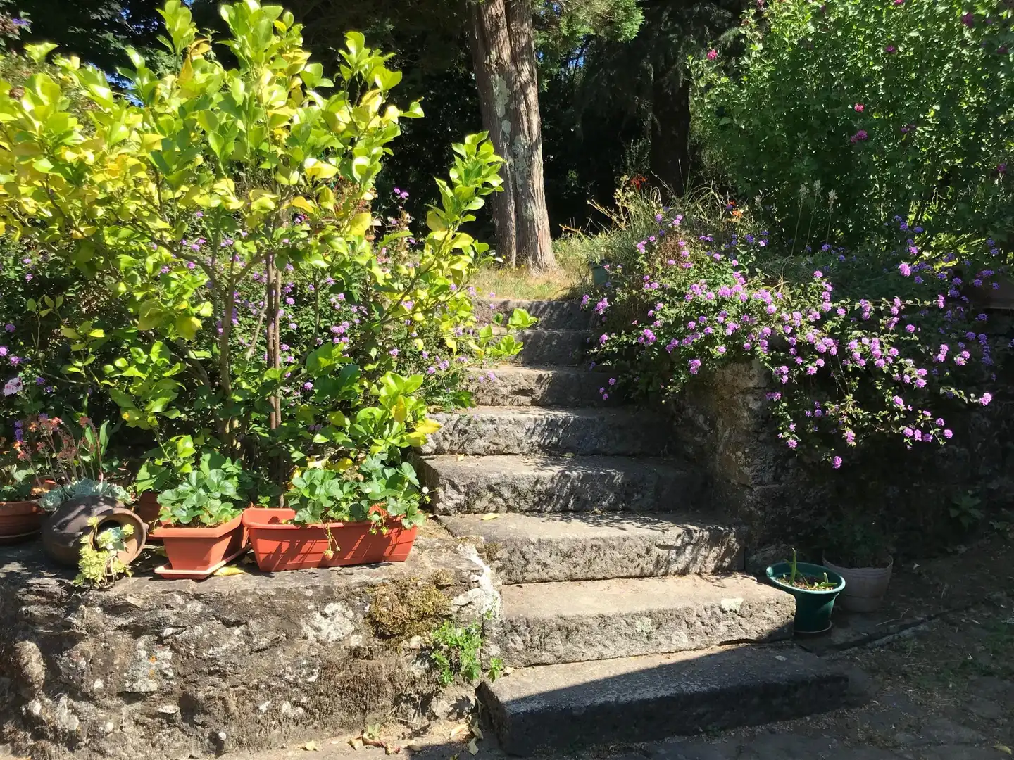 Jardín de Finca rústica en venta en Rois con Calefacción y Piscina