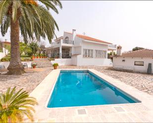 Swimming pool of House or chalet for sale in El Rosario  with Private garden, Parquet flooring and Terrace